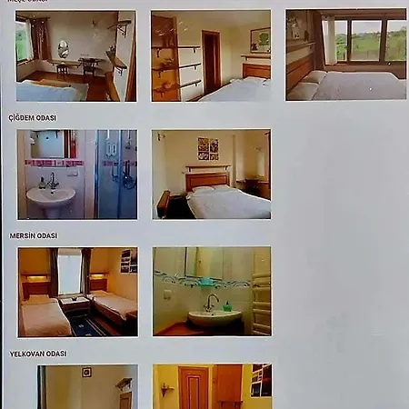 Albergue Meseliev