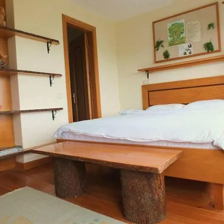 Meseliev Hostel