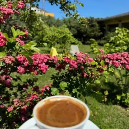 Albergue Meseliev Demirkoy