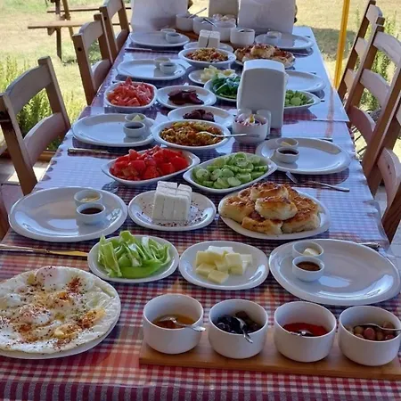 Meseliev * Demirkoy